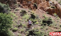Ultra maratoncu Munzur ve Keşiş dağlarında Fransa'daki Mont-Blanc Yarışı'na hazırlanıyor