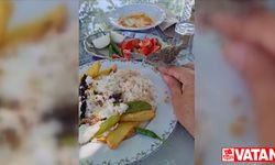 Muğla'da yavru serçe yemek yiyen kişinin tabağından ve elinden beslendi