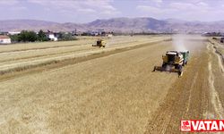 Elazığ'da son yılların en yüksek arpa ve buğday rekoltesi bekleniyor