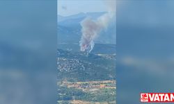 Muğla'da ormanlık alanda yangın çıktı