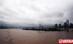 Güney Kore'de şiddetli yağışlar bir haftada 35 can aldı
