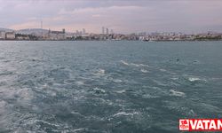 Marmara Denizi kirlilik alarmı veriyor!