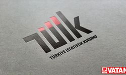 TÜİK mayıs ayı dış ticaret endekslerini açıkladı