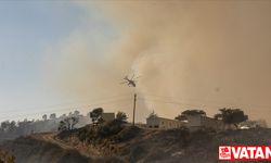 Kavurucu sıcakların etkili olduğu Yunanistan'da orman yangınları devam ediyor