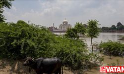 Hindistan'ın Telangana eyaletinde şiddetli yağış sebebiyle 3 günlük "kırmızı alarm" verildi