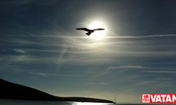 Kuzey Atlantik'teki aşırı ısınma ve El Nino etkisi, yeni sıcaklık rekorlarına yol açabilir