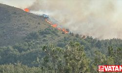 Gökçeada'daki orman yangını 16 saat sonra kontrol altına alındı