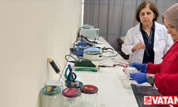 Akademisyenler doğal gıda boyasıyla renkli süt ürünleri geliştirmeyi hedefliyor