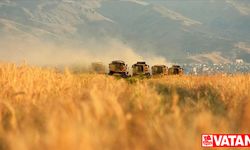 Tarımsal girdi fiyat endeksi mayısta aylık bazda yüzde 0,26, yıllık yüzde 33,22 arttı