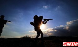 Terör örgütü PKK'nın sözde Avaşin yöneticisi Bilal Onat etkisiz hale getirildi