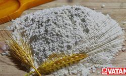 Un sanayicileri tahıl koridorunun küresel ticarete yeniden "nefes" olmasını istiyor