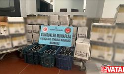 Bodrum'da 2 bin 199 şişe sahte içki ele geçirildi