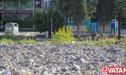 Malatya'da depremde aldığı hasar nedeniyle yıkılan binanın arazisinde ayçiçekleri açtı