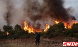 Yunanistan bu yıl da kavurucu sıcaklar ve orman yangınlarıyla sınanıyor