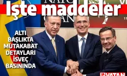 Türkiye'nin İsveç ile yaptığı anlaşma maddeleri ne? İşte Türkiye ile yapılan anlaşmanın tamamı…