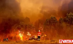 Portekiz, yılın üçüncü ısı dalgası ile orman yangınlarıyla mücadele ediyor