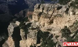 ABD'deki Büyük Kanyon'da 100 fitlik yükseklikten düşen çocuk sağ kurtuldu
