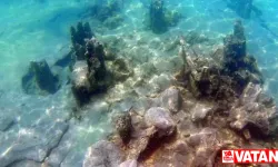 Van Gölü'nde gizemli kalıntılar