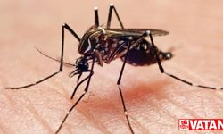 Sivrisineklerden nasıl korunuruz?