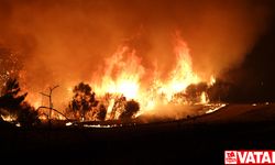 Çanakkale'de çıkan orman yangınına müdahale sürüyor