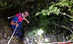 Sinop'ta ormanda mahsur kalan kişi itfaiye ekiplerince kurtarıldı