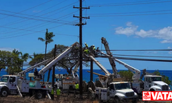 Maui İlçesi, Hawaiian Electric'i orman yangını ihmali nedeniyle dava etti