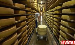 İtalya'da zincirleme kaza sonucu peynir üreticisi hayatını kaybetti