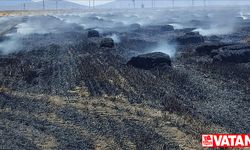 Afyonkarahisar'da 65 dekarlık tarım arazisi yangında zarar gördü