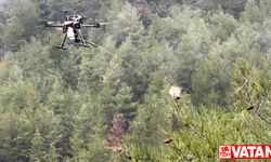 Isparta'da çam kese böcekleriyle mücadele için dron geliştirildi