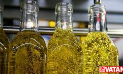 İspanya'da zeytinyağı fiyatlarının daha da artması bekleniyor