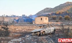 Yunanistan'da yangınlar 4'üncü gününde devam ediyor