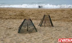 Deniz kaplumbağaları için kafesleme yöntemiyle yapılan yuva sayısı 2 bin 551'e ulaştı