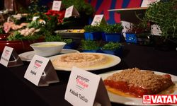 "2. Uluslararası Food Fest Antalya" 1 Eylül'de başlayacak