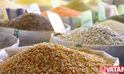 Hububat bakliyat yağlı tohumlar ve mamulleri ihracatı 7 ayda 6,9 milyar dolara ulaştı