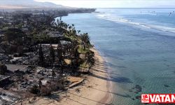 Hawaii'de orman yangınına sebep olduğu iddia edilen elektrik dağıtım firmasına dava açıldı