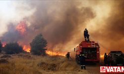 Yunanistan'daki orman yangınları çevre ve sağlık sorunlarını da beraberinde getiriyor