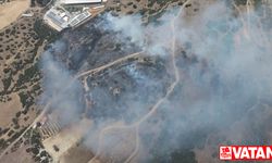 İzmir Menemen'de ormanlık alanda çıkan yangın kontrol altına alındı