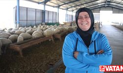 Devlet desteğiyle çiftlik kuran kadın, koyun sayısını 150'den 350'ye çıkardı