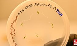 Türk bilim insanları uzayda bitki yetiştirecek