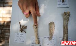 Şapinuva'daki arkeolojik kazıda Hititlerin beslenme alışkanlıkları araştırılıyor