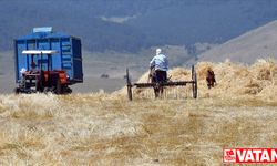 Tarımsal destekleme ödemeleri bugün çiftçilerin hesaplarına aktarıldı