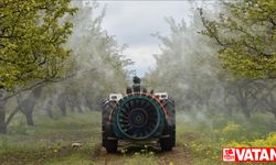 Pestisitlerde insan ve hayvan sağlığı açısından riskli 6 madde kullanımı daha yasaklandı