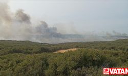 Gelibolu Yarımadası'nda makilik alanda yangın çıktı
