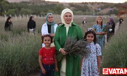 Emine Erdoğan, Ankara'da Ekolojik Köy ziyareti ve lavanta hasadı yaptı