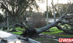 Florida'da Idalia Fırtınası nedeniyle şiddetli yağmur ve sel uyarısı yapıldı