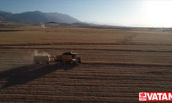 Sertifikalı tohumla ekim yapılan Van'da hububat üretiminde yüzde 75 artış bekleniyor