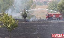 Edirne'de otluk alanda çıkan yangın söndürüldü