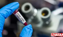 Kerala: Hindistan'da Nipah virüsü ölümlerinden sonra alarm durumunda