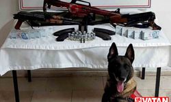 Kahramanmaraş'ta kaçakçılık operasyonunda silah ve hayvan tahnitleri ele geçirildi