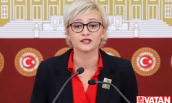 Yeşil Sol Parti'li Koca'dan uzun çalışma iddiası